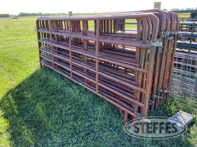 (16) Livestock panels, 12'